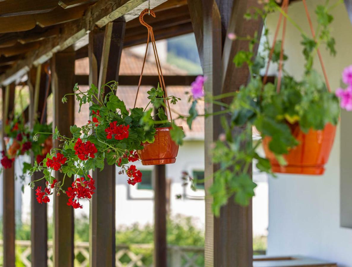 Casa De Vacanta Armi Molidu エクステリア 写真
