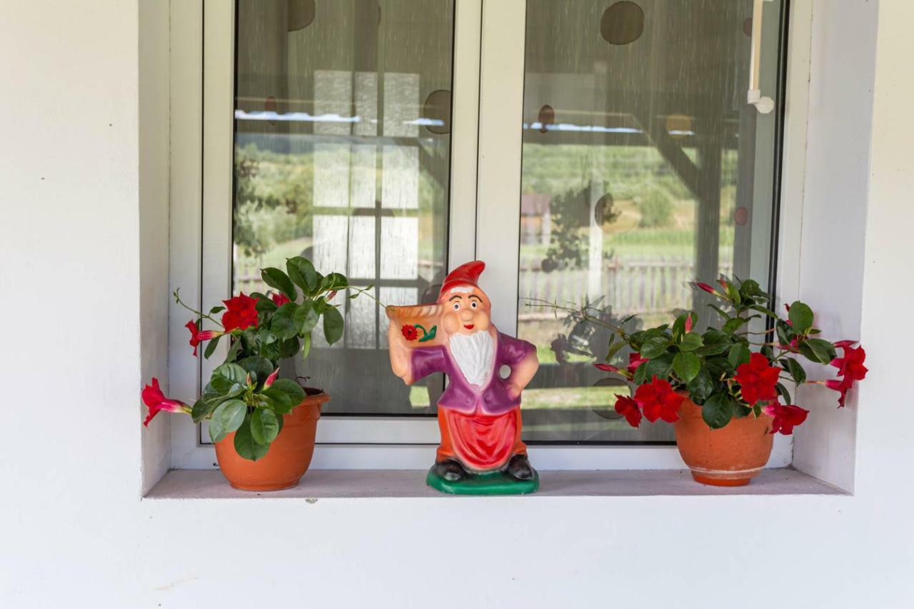 Casa De Vacanta Armi Molidu エクステリア 写真