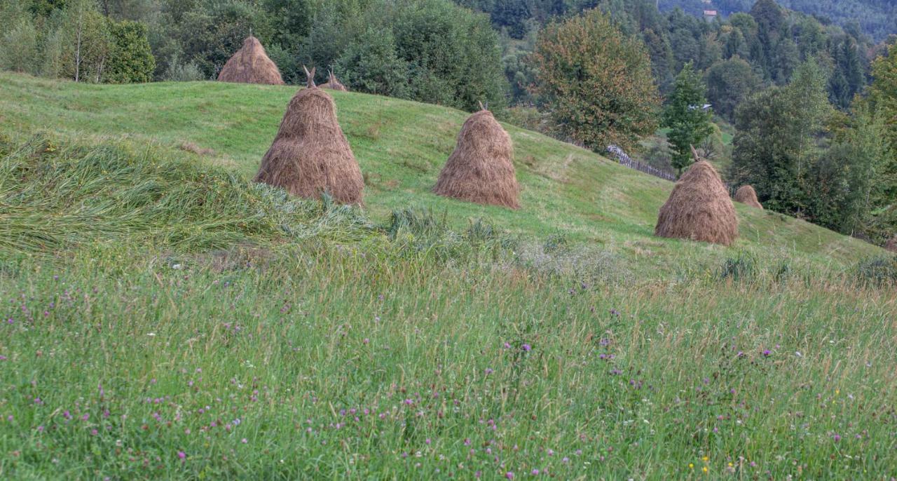 Casa De Vacanta Armi Molidu エクステリア 写真